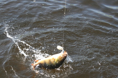 Рыбалка в июне в Астрахани