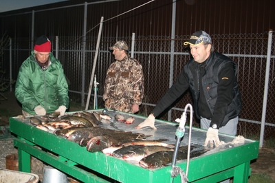 Большая Волга, рыбалка