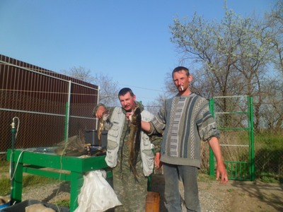 Рыбалке -нерестовый период Астрахань
